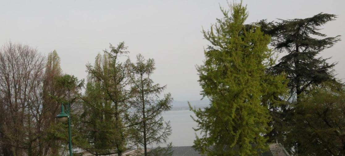 Magnifique T3 Face Au Lac Évian-les-Bains Zewnętrze zdjęcie